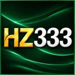 HZ333